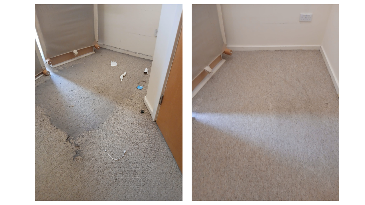 Professional Cleaners